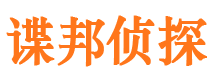 镇巴市私家侦探